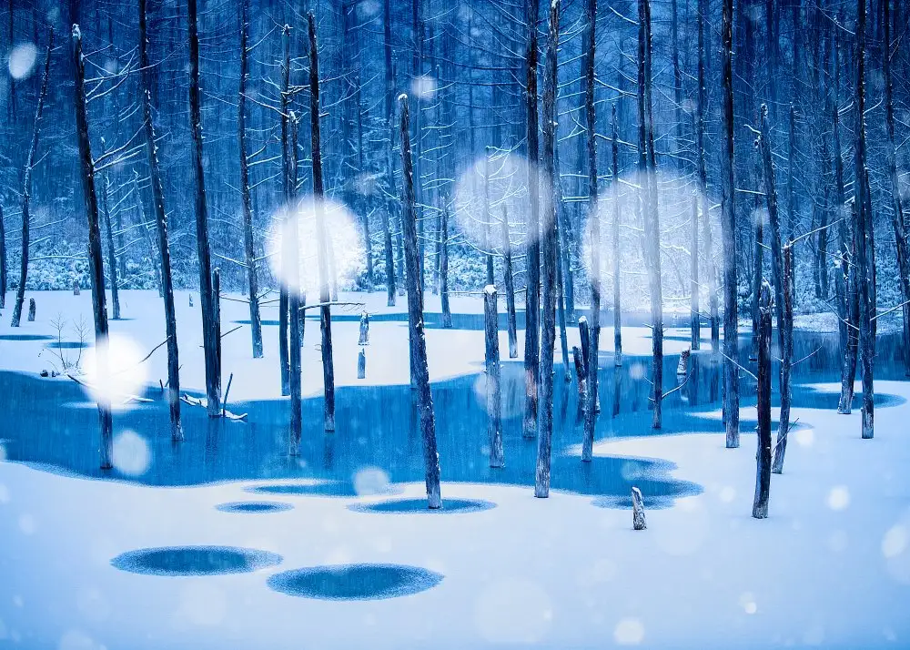Sono, Hidenori: Märchenland