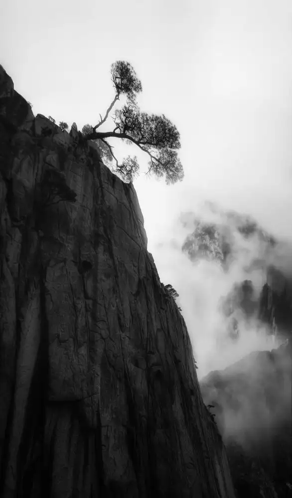 Gu, Cher: Mont Huang