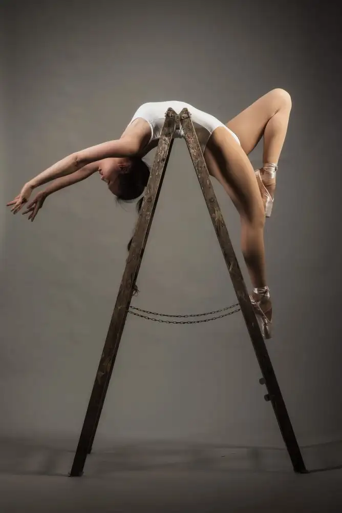 Schoeps, K. Axel: how to use a ladder