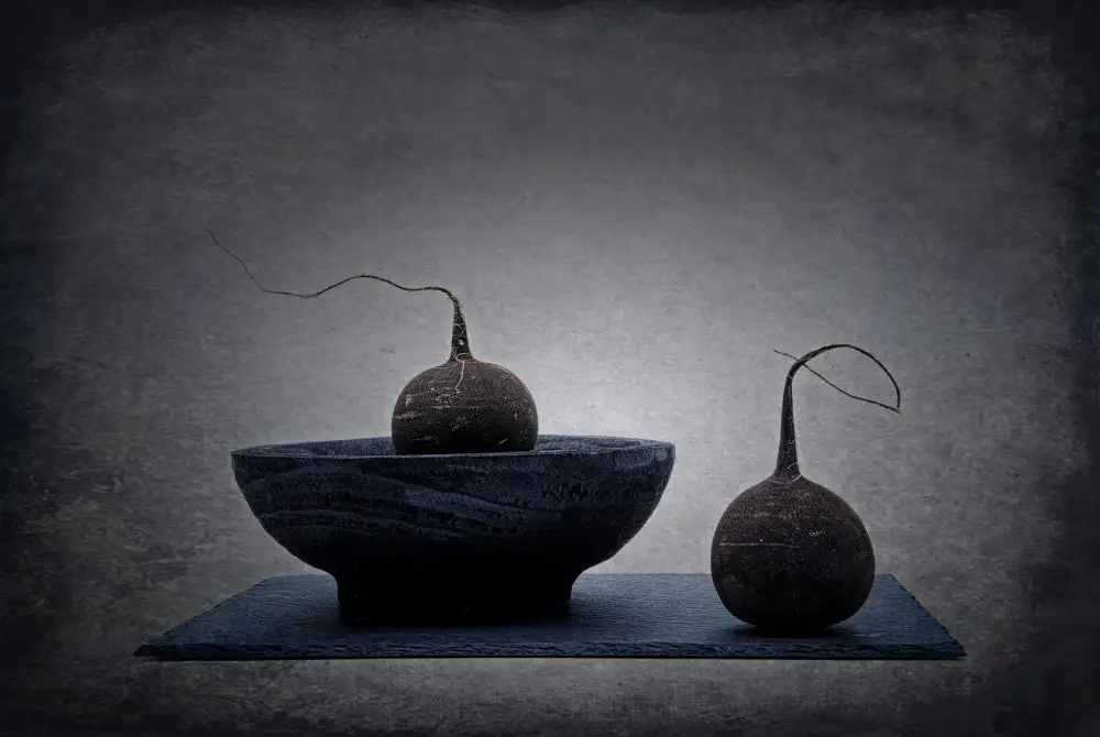 Dingemans, Saskia: Semplicemente Nero. Serie Zen.
