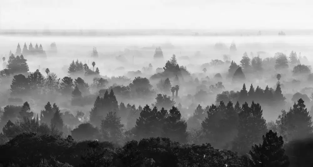Qiu, Jenny: Misty Valley