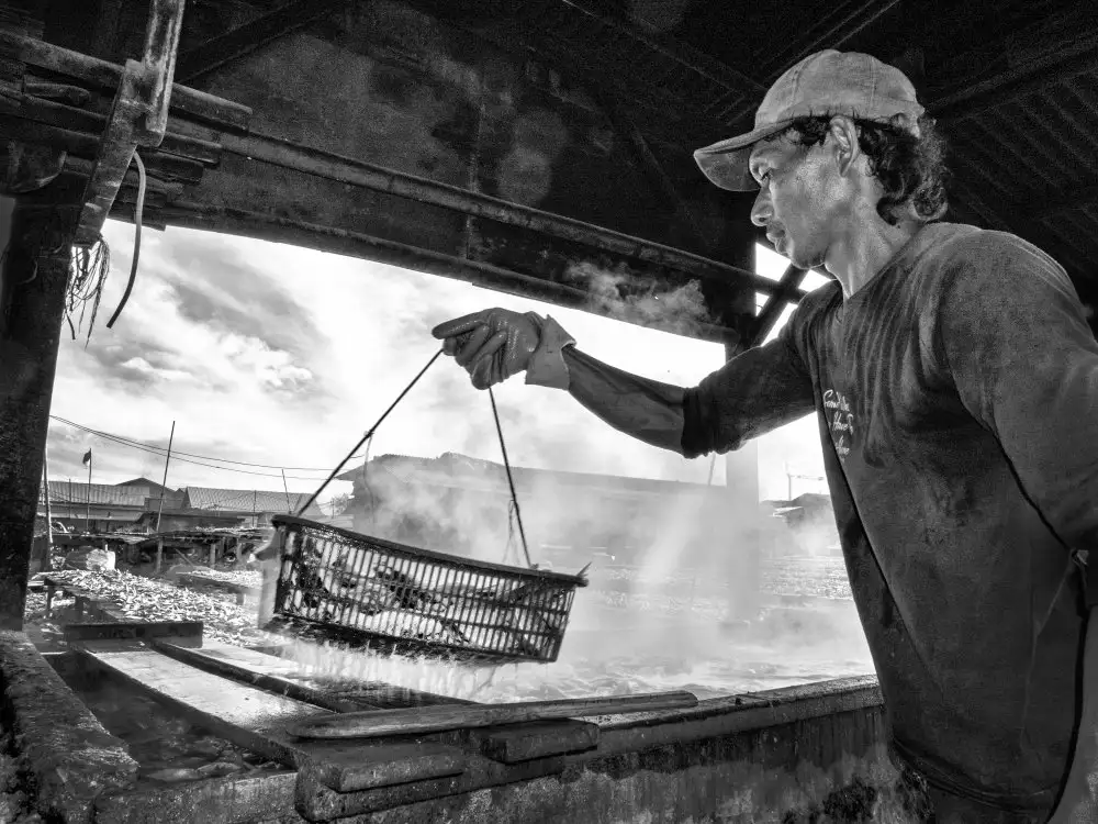 Bunjamin, Antonyus: Tira fuori il pesce al vapore