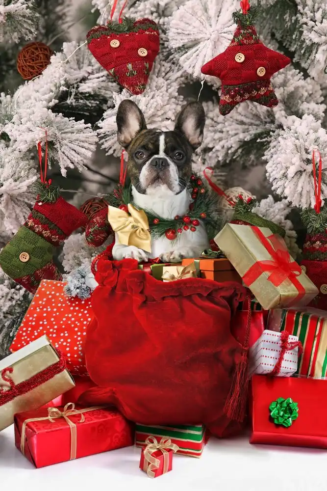 DDiArte: Xmas 21