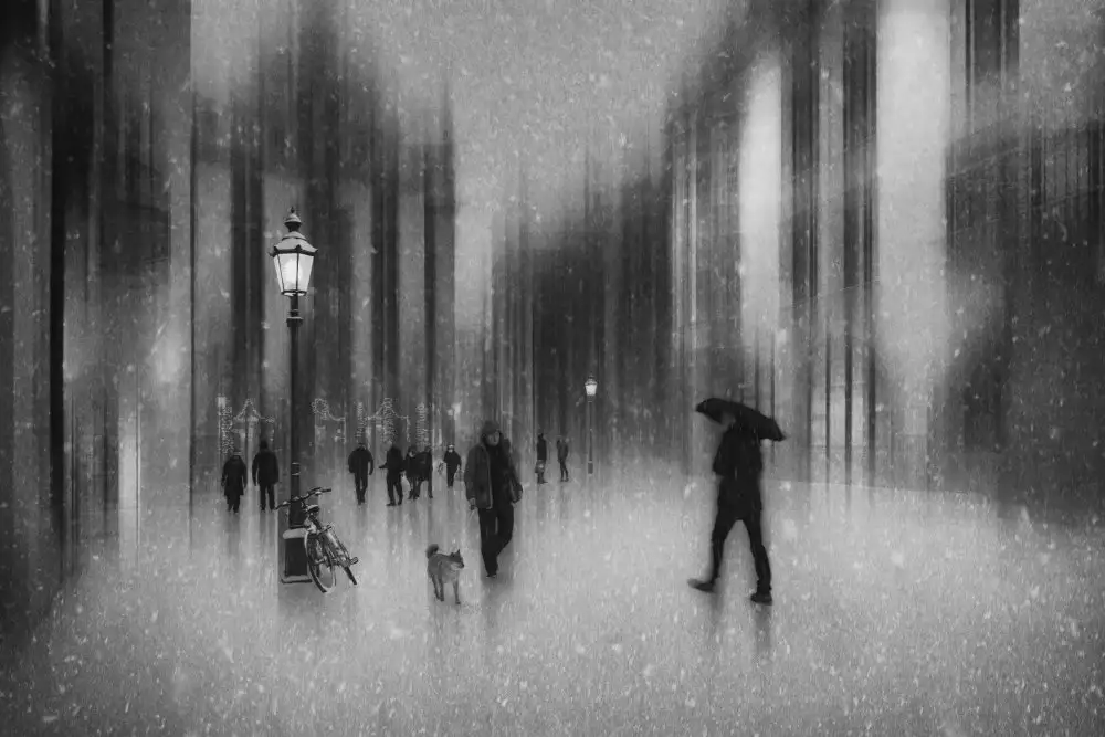 Schleicher-Schwarz, Roswitha: Passeggiata di Natale