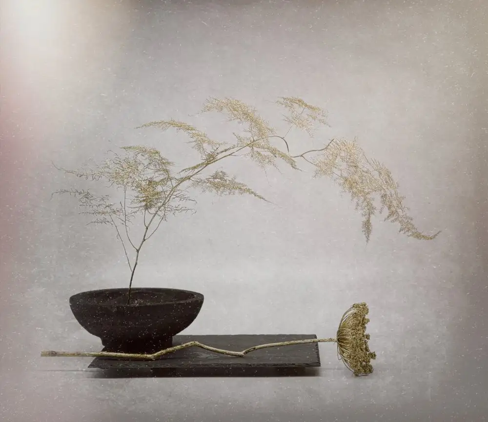 Dingemans, Saskia: Un tocco d'oro. Serie Zen.