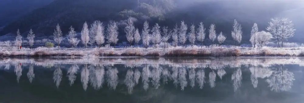 Seo, Tiger: Cold morning