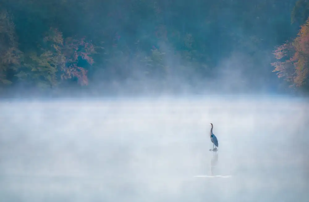 Yang, Jianping: El guardián del lago Johnson