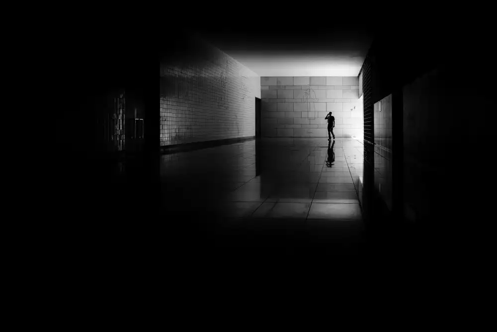 Silva, Correia Fernando: Verbotene Farben