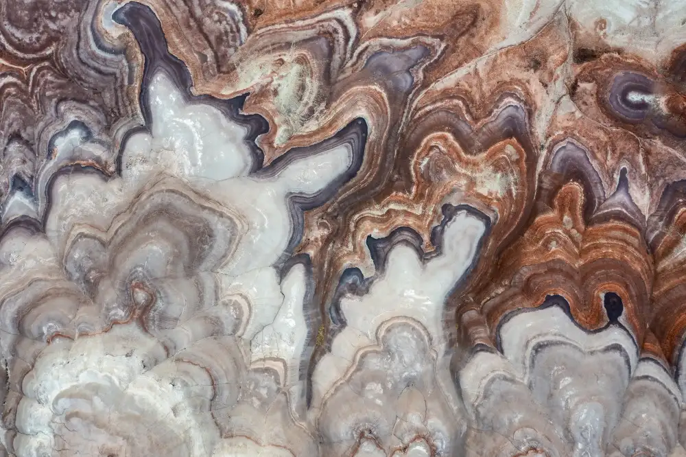Dou, Shenshen: Terre de porcelaine