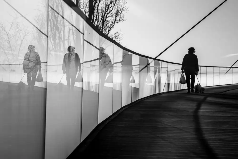 Zvagina, Dzintra: Réflexion