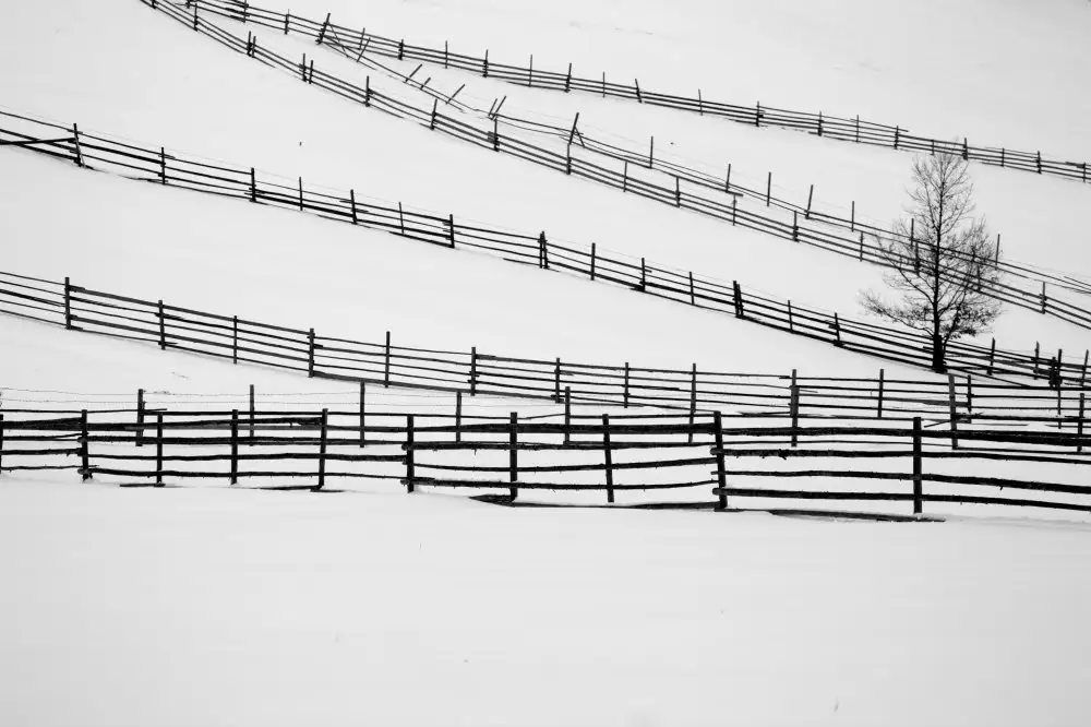 Zvagina, Dzintra: Chanson d'hiver