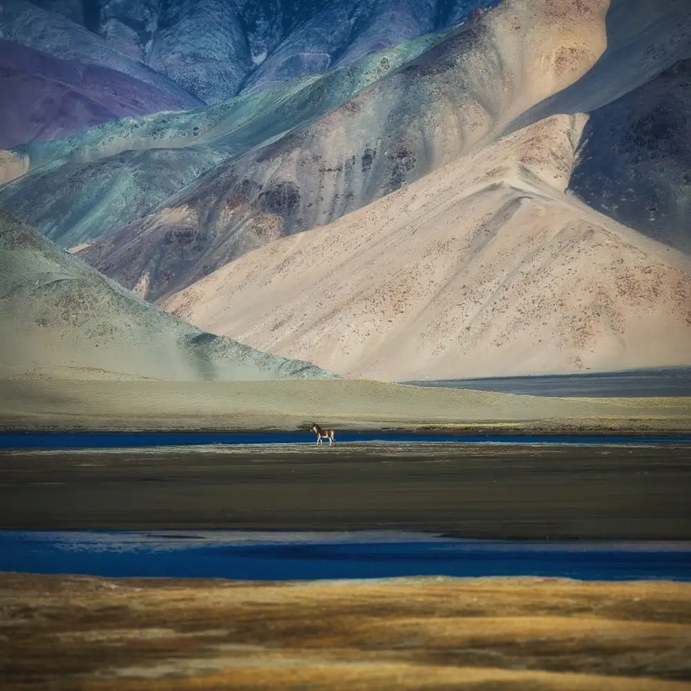 Swapnil: alone in a beautiful world