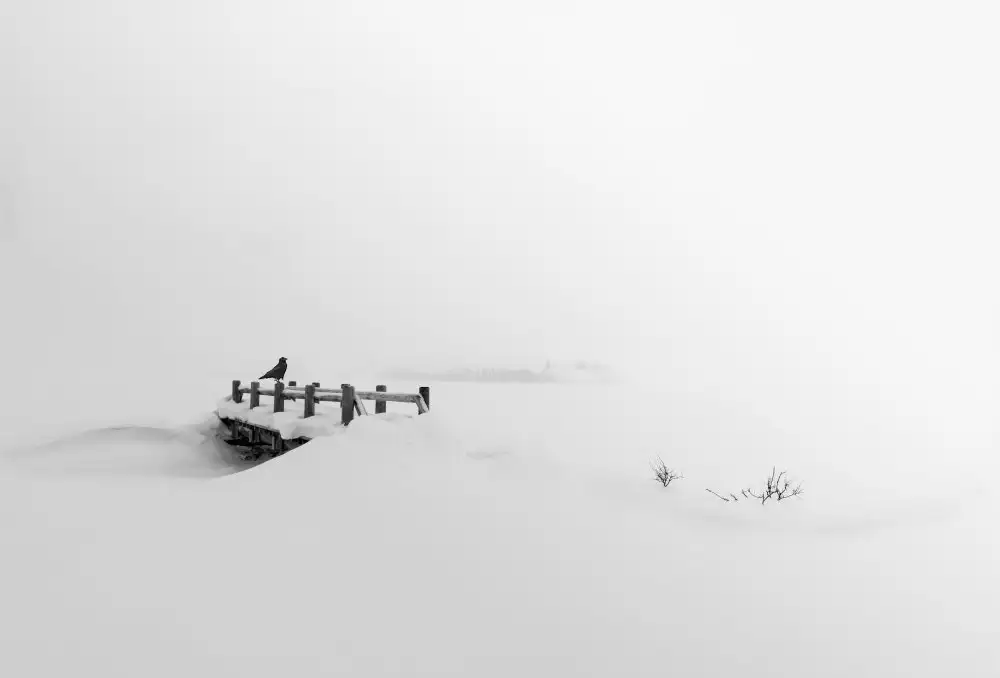 Zhang, Dennis: Bridge, Crow and snow