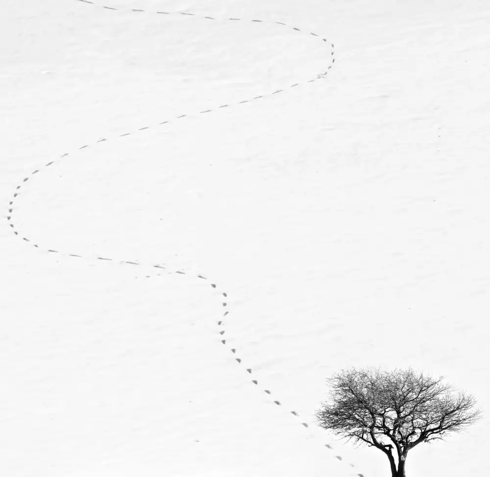 Nodeh, Mostafa: footprint
