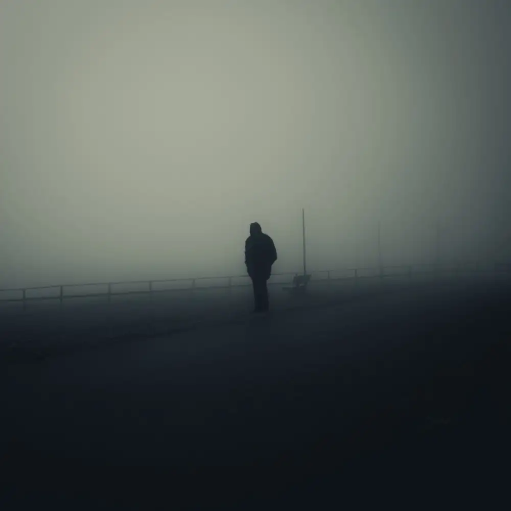 Bauer, Viktor: Einsam im Nebel