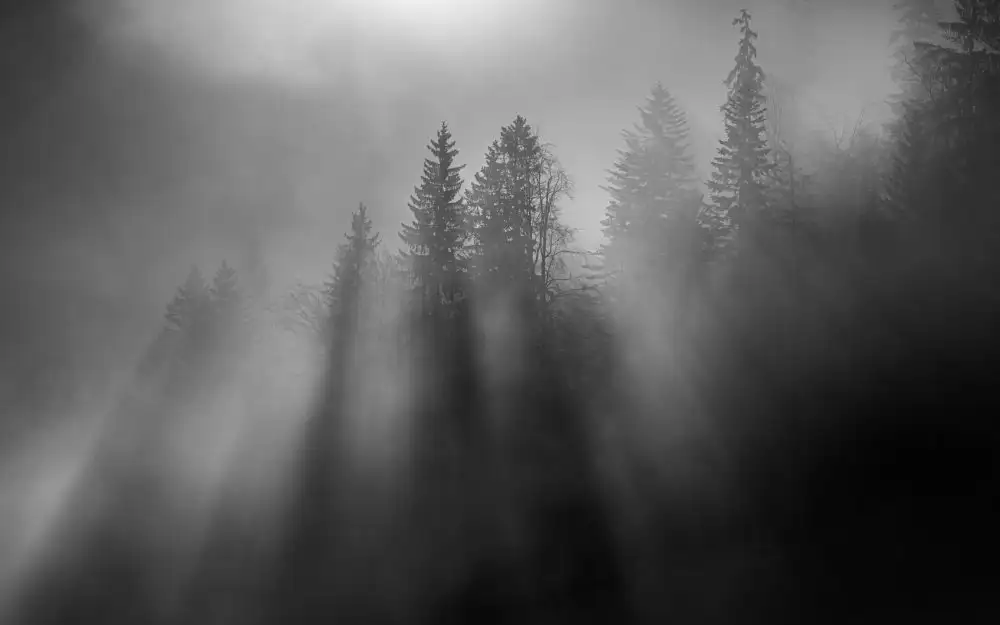 Dauer, Andy: soleil d'hiver