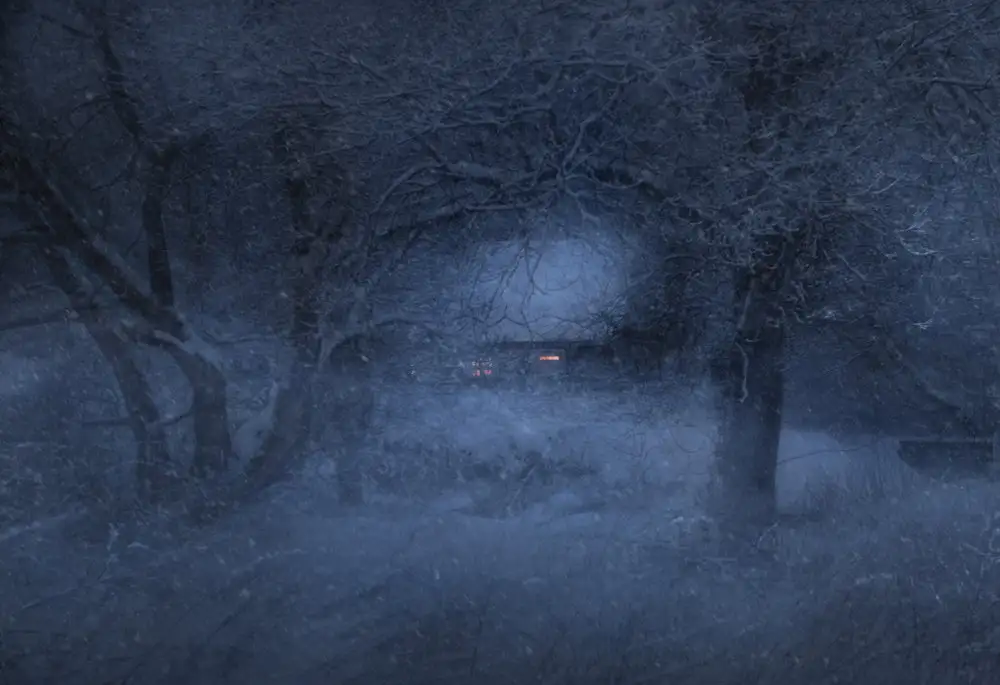 Kukrinov, Alexandr: Snowy evening...