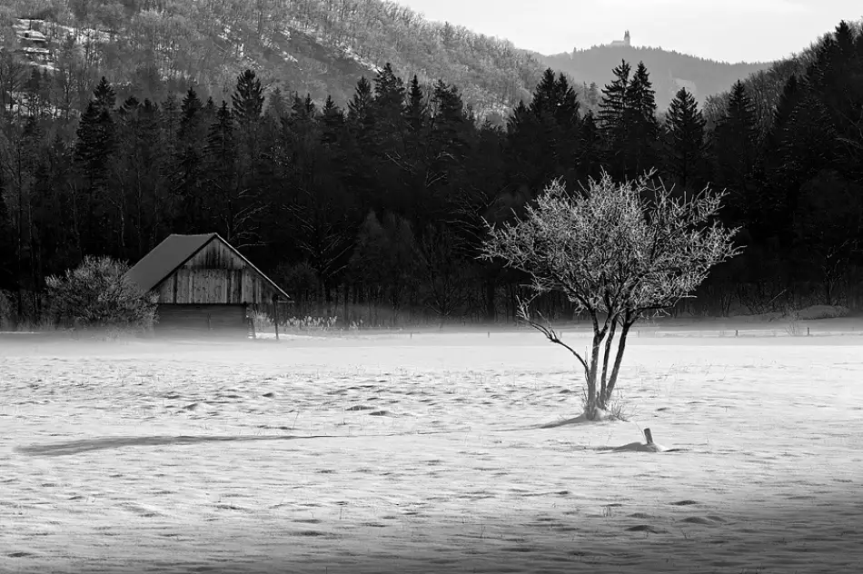Kravanja, Jure: Zima