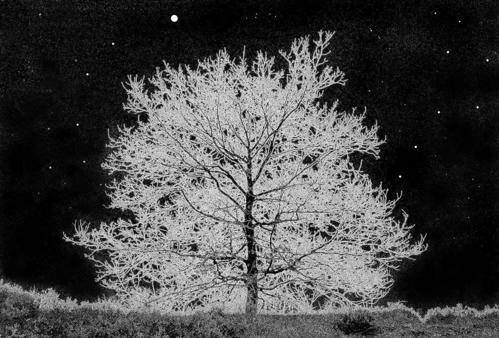 Limberg, Huib: A cold night.....!
