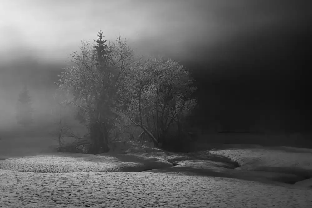 Dauer, Andy: l'hiver peint en pc