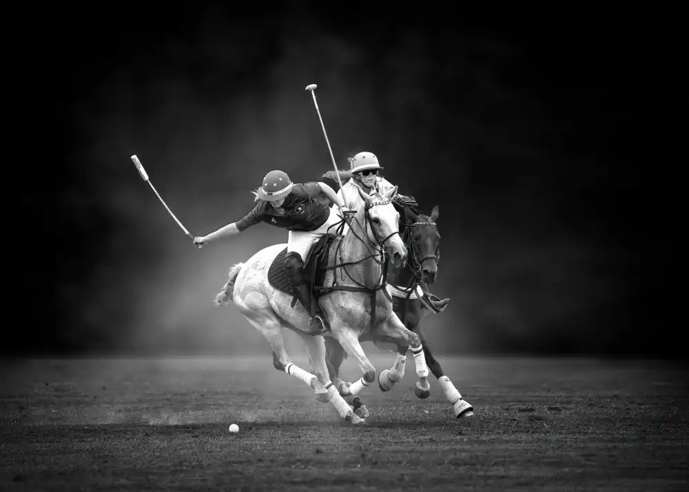 Li, Rob: Tir à cheval