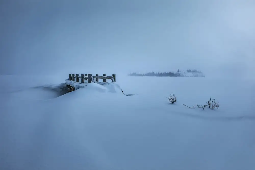 Xu, Wendy: Small Woodbridge after snow