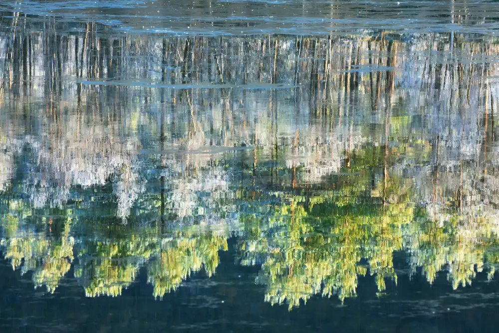 Gastager, Daniel: Reflektiertes Kunstwerk