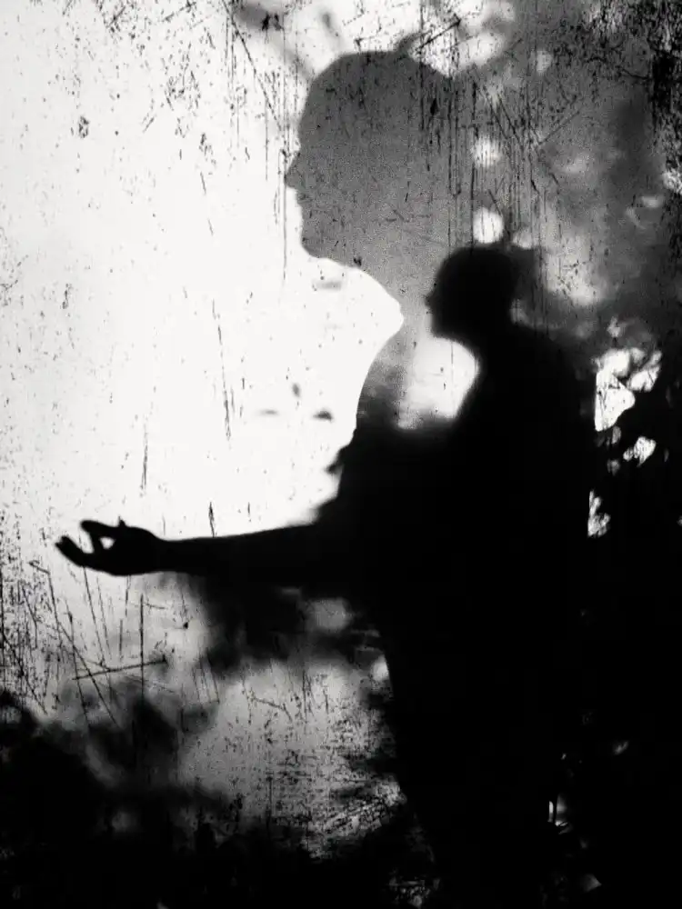 Avramescu, Emilian: Avatar (II)