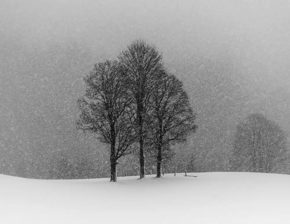 Dauer, Andy: laisse tomber la neige