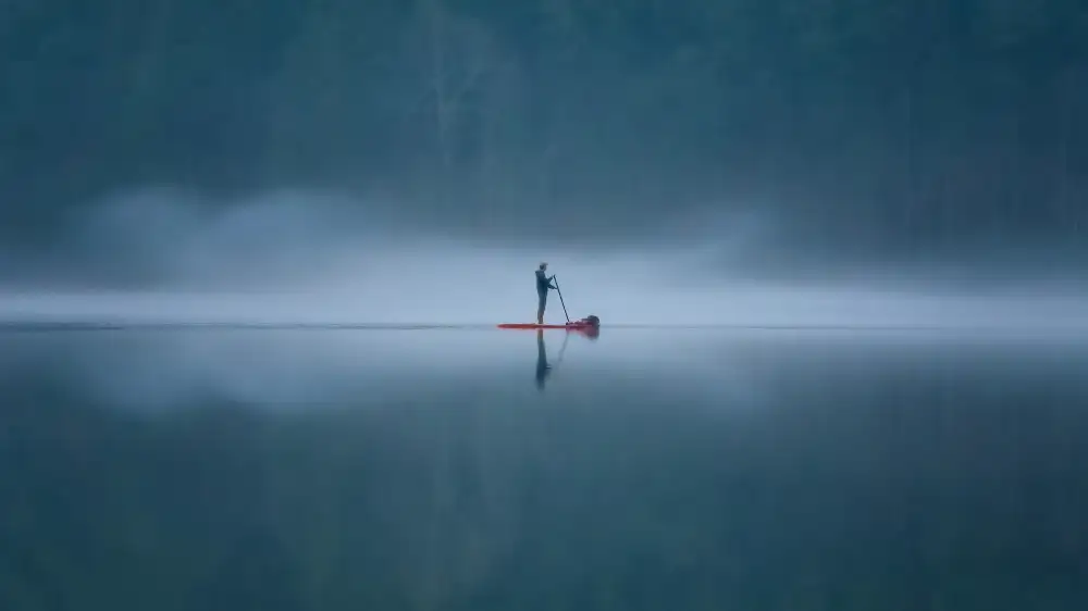 Yang, Jianping: Simetría en la niebla