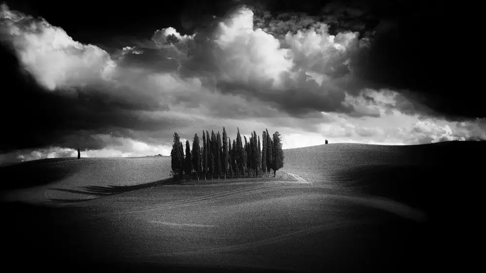 Moretti, Claudio: Les cyprès