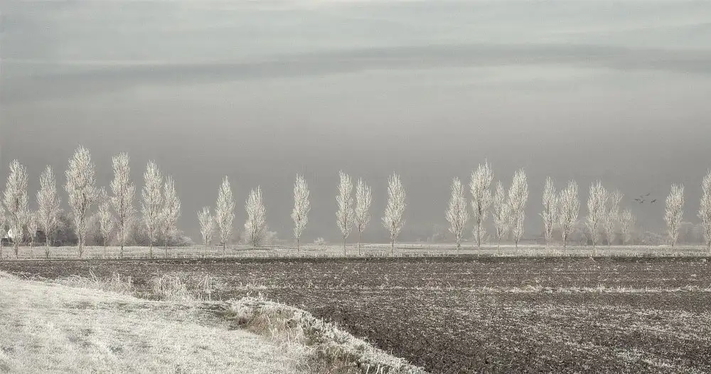 Yvette,,,, Depaepe,,,,: Wintersonnenwende