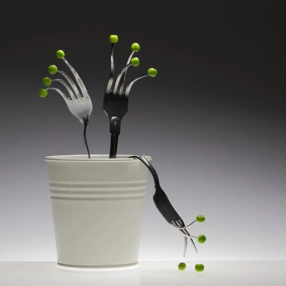 Kogel,, de Wieteke,: Pianta a forcella