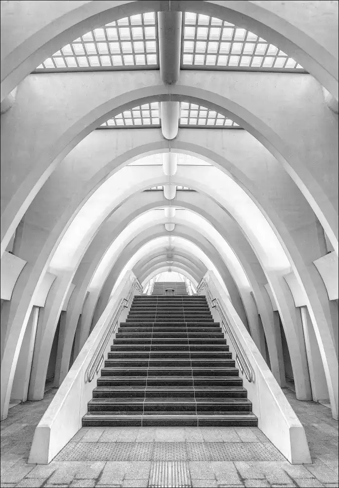 Houte, Van Jef: Calatrava-Linien