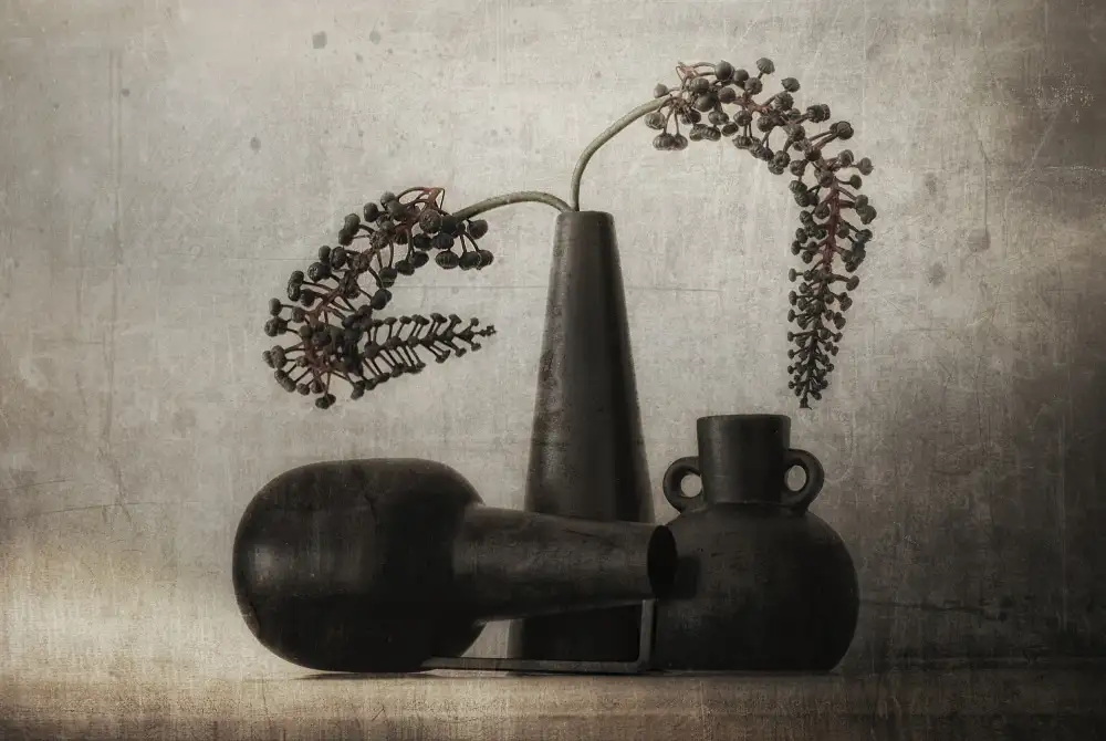 Arjona, Elena: Black pots