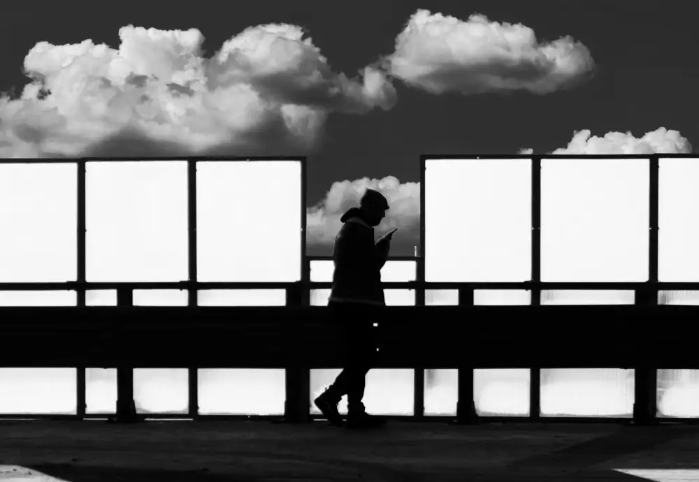 Niemiec, Anna: La tête dans les nuages.