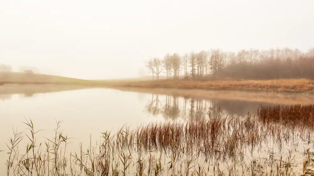Løndal, Leif: Calm lake