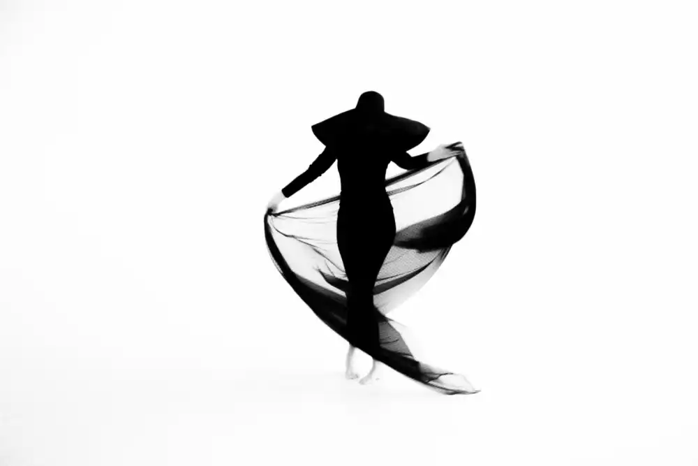 Zvagina, Dzintra: Minimalisme