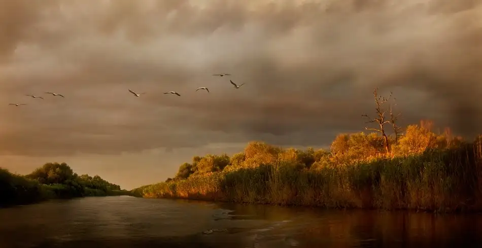 Bosogea-Tudor, Ileana: Delta del Danubio