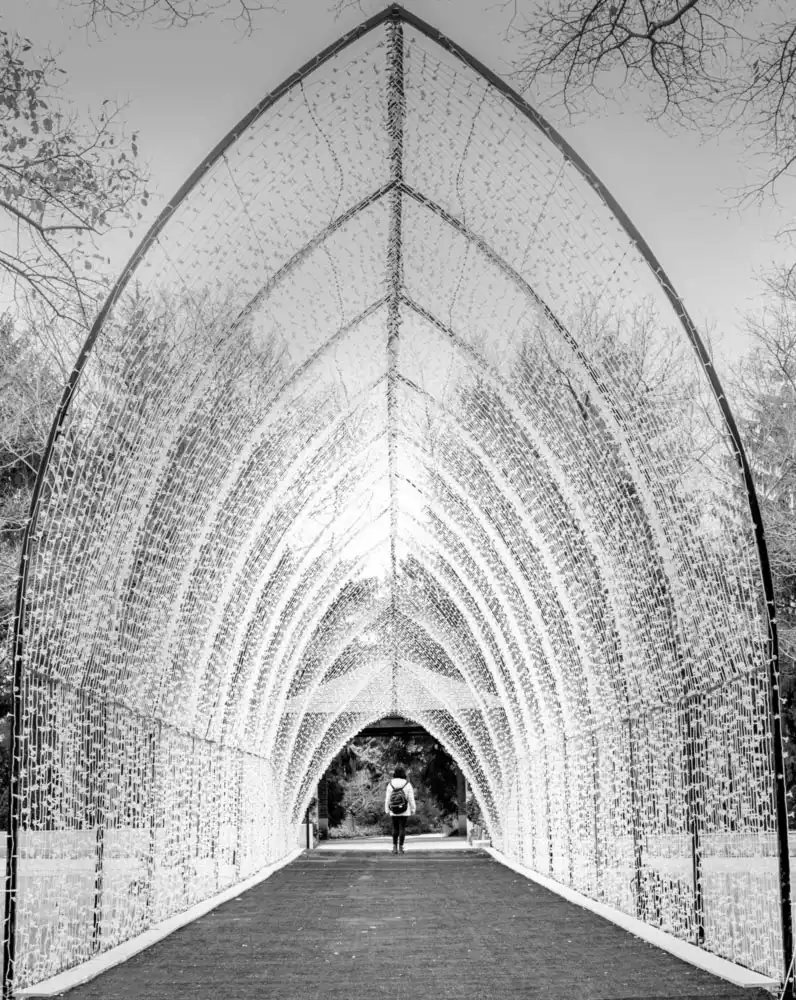 Yang, Jimmy: White Arch Corridor