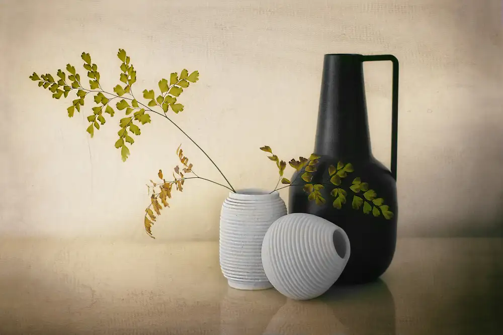 Arjona, Elena: Black and white pots