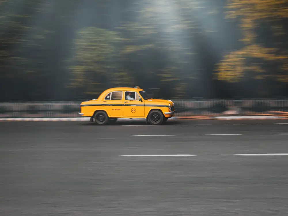 Majumder, Susnata: La bête jaune