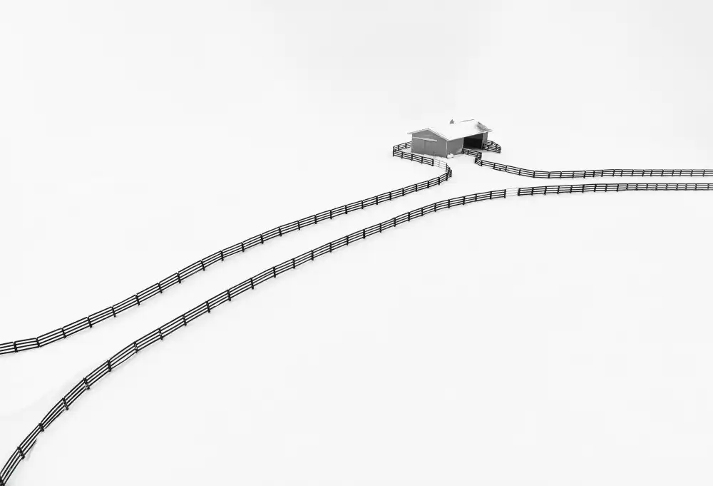 Zhao, Emma: Casa al guinzaglio