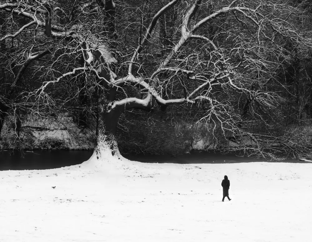 Niemiec, Anna: Marchez en noir et blanc.