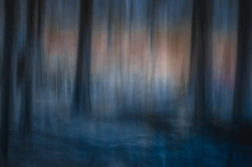 Bouhuijzen, Ina: Look deep into nature