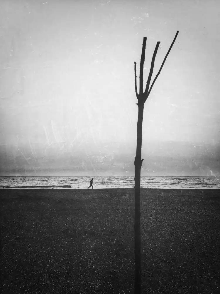 Avramescu, Emilian: Passing through...