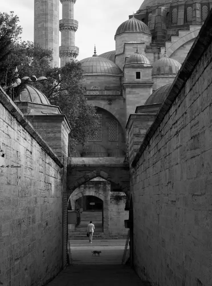 Alibaroodi: Route divine