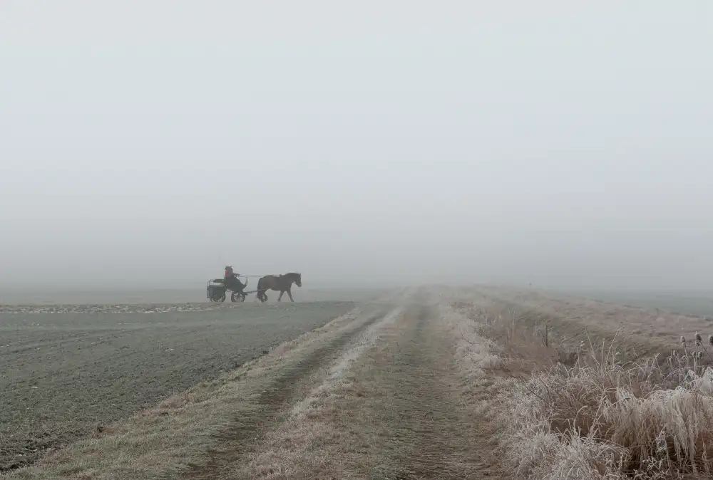 Günther, Hans: Carro en la niebla