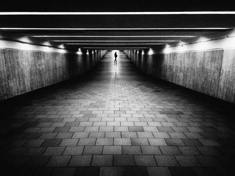 Avramescu, Emilian: Lines