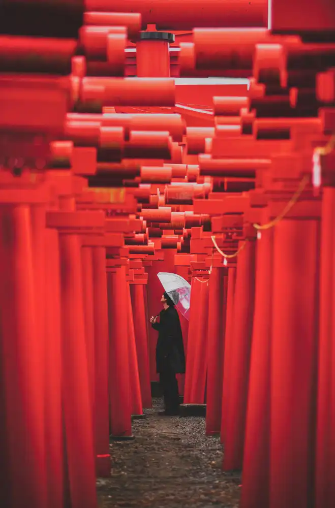Daichi, Murakyami: Porta infinita